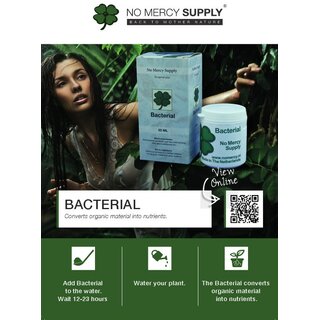 No Mercy Bacterial 50ml