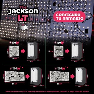 The Jungle LED The Jackson LT